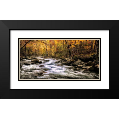 Autumn Bliss Black Modern Wood Framed Art Print with Double Matting by Head, Danny