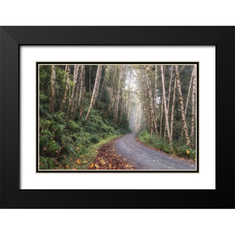 Mountain Drive Black Modern Wood Framed Art Print with Double Matting by Head, Danny