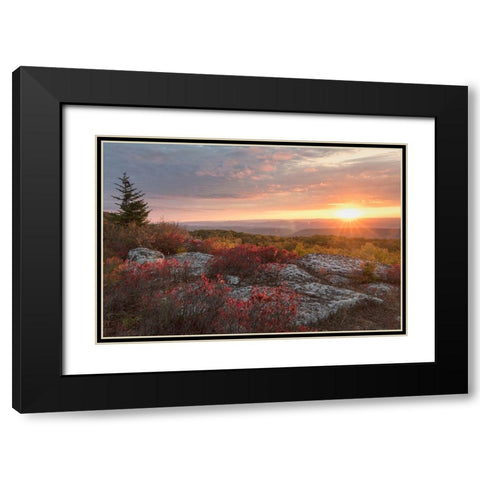 Good Morning Black Modern Wood Framed Art Print with Double Matting by Head, Danny