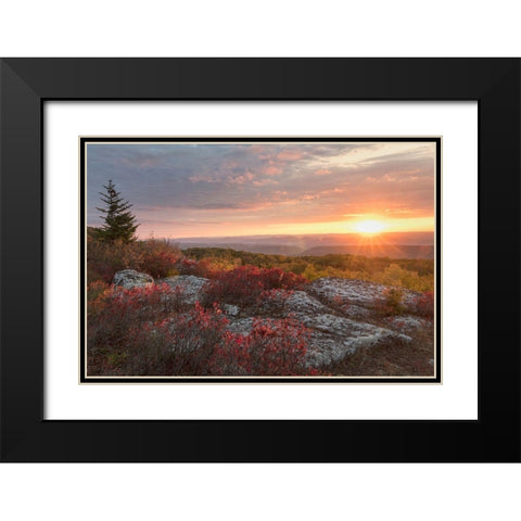 Good Morning Black Modern Wood Framed Art Print with Double Matting by Head, Danny