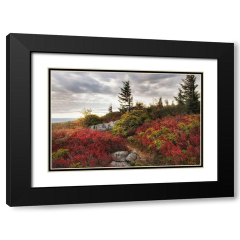 Highland Trail Black Modern Wood Framed Art Print with Double Matting by Head, Danny