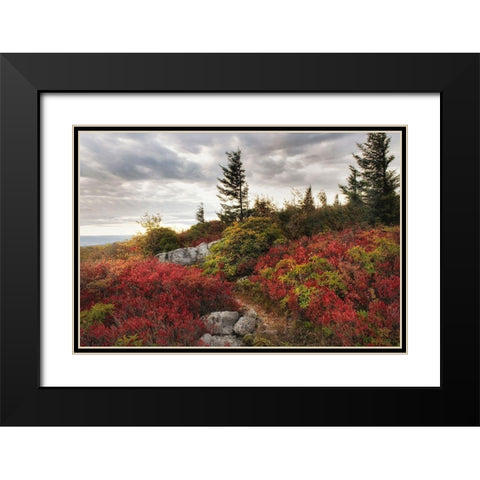 Highland Trail Black Modern Wood Framed Art Print with Double Matting by Head, Danny
