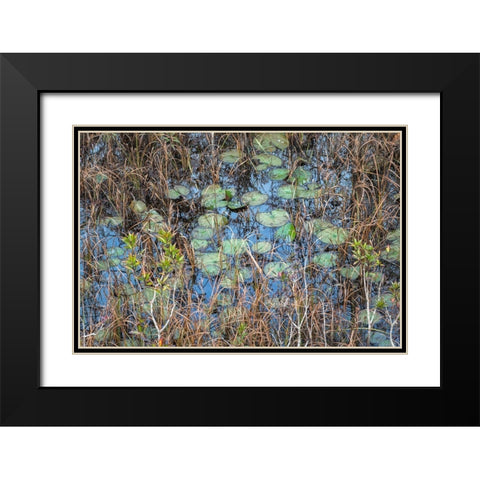 The Marsh Black Modern Wood Framed Art Print with Double Matting by Head, Danny