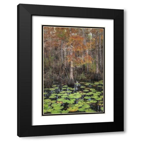 Black Water I Black Modern Wood Framed Art Print with Double Matting by Head, Danny