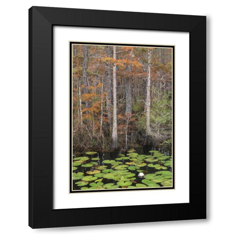 Black Water II Black Modern Wood Framed Art Print with Double Matting by Head, Danny