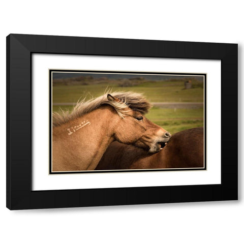 Rough Play Black Modern Wood Framed Art Print with Double Matting by Head, Danny