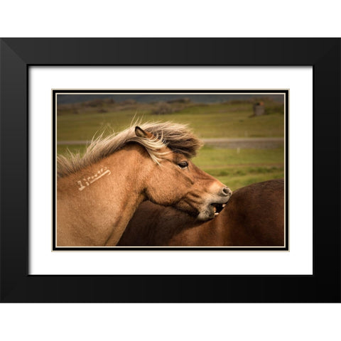 Rough Play Black Modern Wood Framed Art Print with Double Matting by Head, Danny