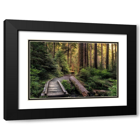 Morning Calls Black Modern Wood Framed Art Print with Double Matting by Head, Danny