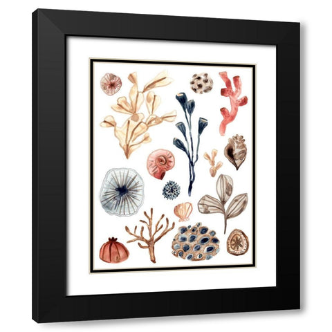 Ocean Assortment I Black Modern Wood Framed Art Print with Double Matting by Vess, June Erica