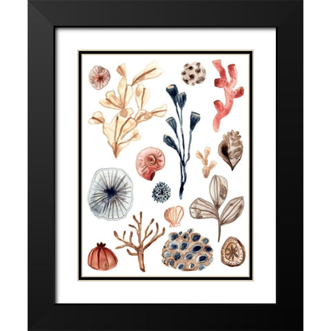 Ocean Assortment I Black Modern Wood Framed Art Print with Double Matting by Vess, June Erica