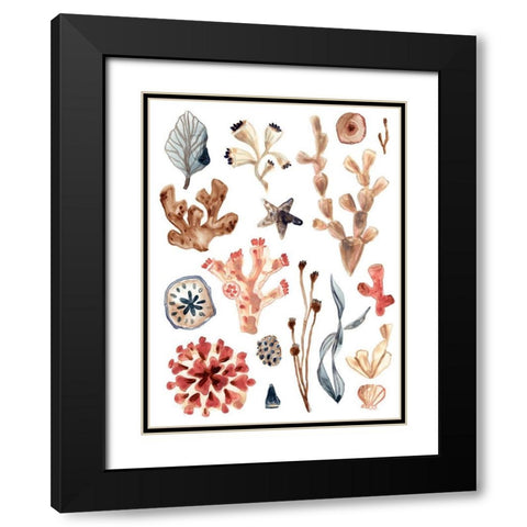 Ocean Assortment II Black Modern Wood Framed Art Print with Double Matting by Vess, June Erica