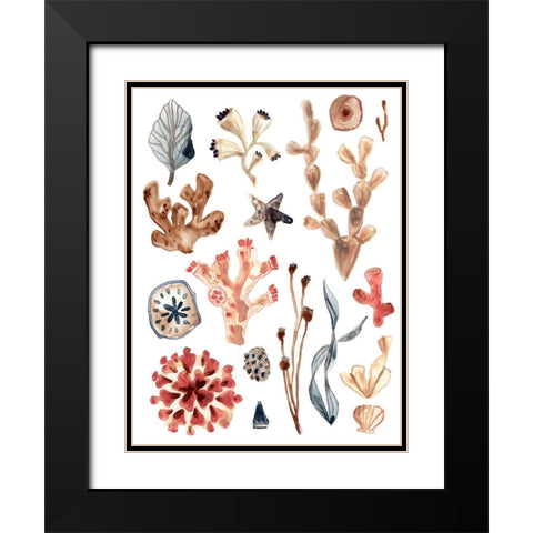 Ocean Assortment II Black Modern Wood Framed Art Print with Double Matting by Vess, June Erica