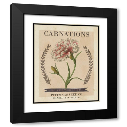 Vintage Seed Packets V Black Modern Wood Framed Art Print with Double Matting by Studio W