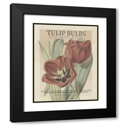 Vintage Seed Packets VI Black Modern Wood Framed Art Print with Double Matting by Studio W