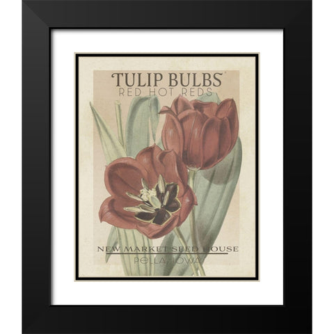 Vintage Seed Packets VI Black Modern Wood Framed Art Print with Double Matting by Studio W