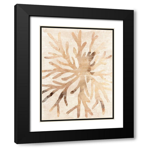 Parchment Coral II Black Modern Wood Framed Art Print with Double Matting by Vess, June Erica