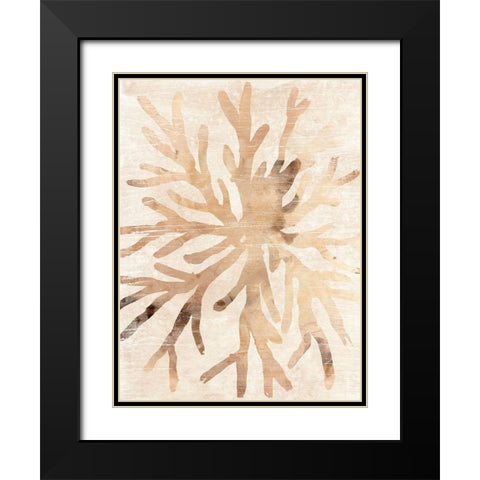 Parchment Coral II Black Modern Wood Framed Art Print with Double Matting by Vess, June Erica
