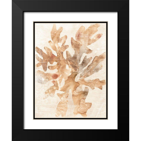 Parchment Coral IV Black Modern Wood Framed Art Print with Double Matting by Vess, June Erica