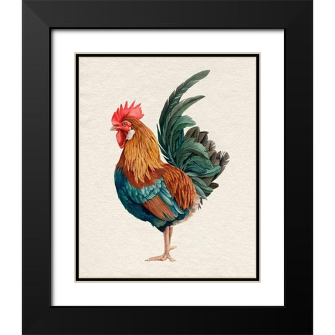 Watercolor Rooster II Black Modern Wood Framed Art Print with Double Matting by Popp, Grace
