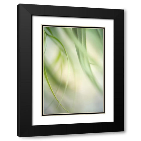 Harmonic I Black Modern Wood Framed Art Print with Double Matting by Poinski, Dianne