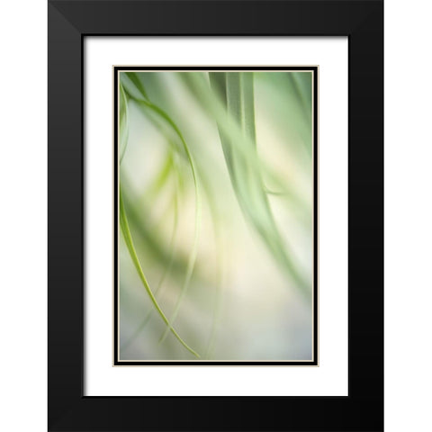 Harmonic I Black Modern Wood Framed Art Print with Double Matting by Poinski, Dianne