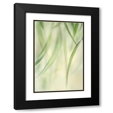 Harmonic II Black Modern Wood Framed Art Print with Double Matting by Poinski, Dianne