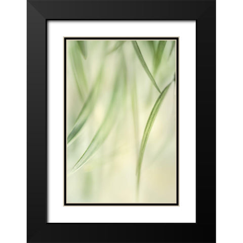 Harmonic II Black Modern Wood Framed Art Print with Double Matting by Poinski, Dianne
