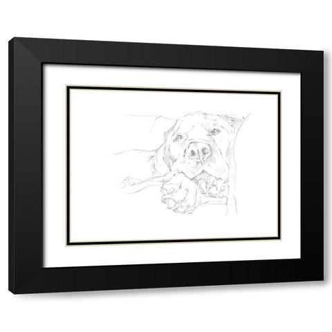 Lazy Dog I Black Modern Wood Framed Art Print with Double Matting by Harper, Ethan