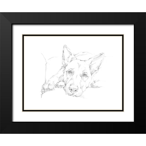 Lazy Dog IV Black Modern Wood Framed Art Print with Double Matting by Harper, Ethan
