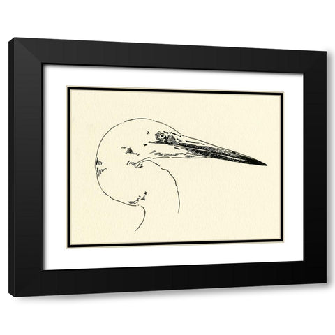 Heron Head I Black Modern Wood Framed Art Print with Double Matting by Caroline, Emma