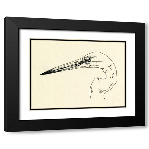 Heron Head II Black Modern Wood Framed Art Print with Double Matting by Caroline, Emma