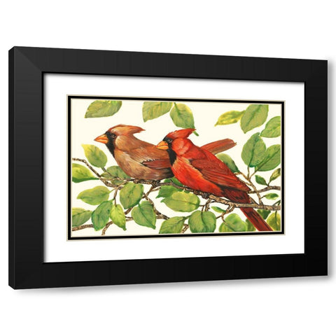 Cardinals Black Modern Wood Framed Art Print with Double Matting by OToole, Tim