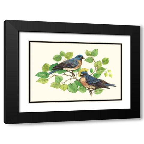 Song Birds I Black Modern Wood Framed Art Print with Double Matting by OToole, Tim