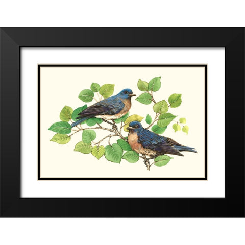 Song Birds I Black Modern Wood Framed Art Print with Double Matting by OToole, Tim