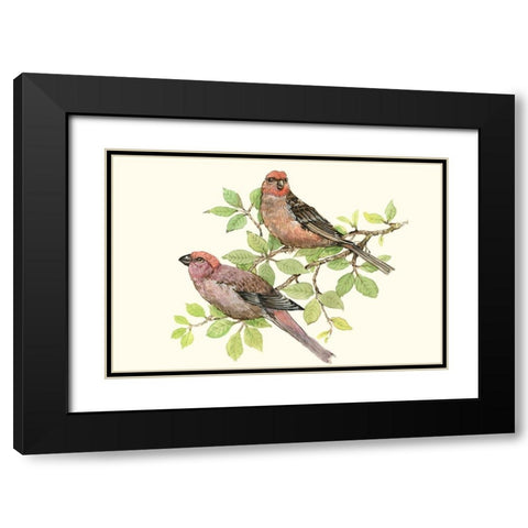 Song Birds II Black Modern Wood Framed Art Print with Double Matting by OToole, Tim