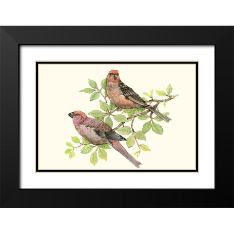 Song Birds II Black Modern Wood Framed Art Print with Double Matting by OToole, Tim