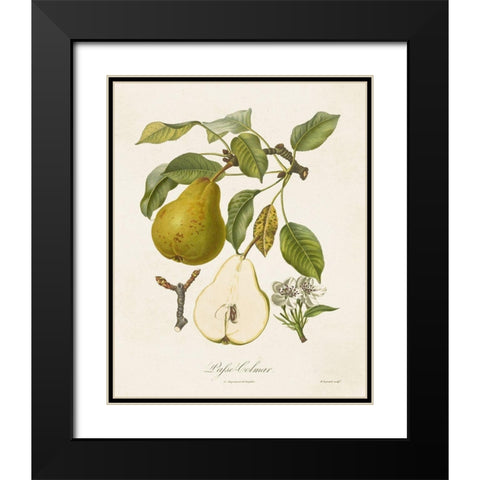 Vintage Pears II Black Modern Wood Framed Art Print with Double Matting by de Langlois