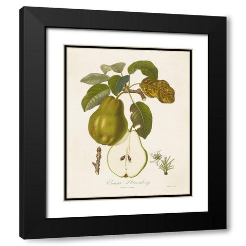 Vintage Pears IV Black Modern Wood Framed Art Print with Double Matting by de Langlois