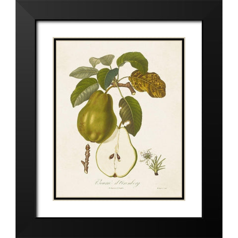 Vintage Pears IV Black Modern Wood Framed Art Print with Double Matting by de Langlois