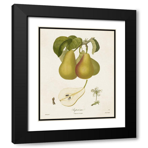 Vintage Pears V Black Modern Wood Framed Art Print with Double Matting by de Langlois