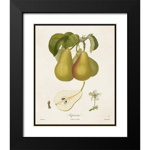 Vintage Pears V Black Modern Wood Framed Art Print with Double Matting by de Langlois