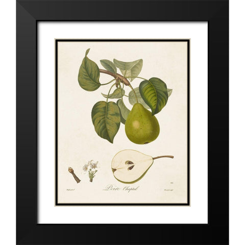 Vintage Pears VI Black Modern Wood Framed Art Print with Double Matting by de Langlois