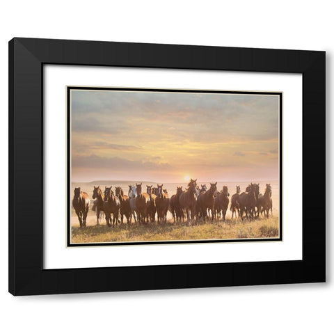 Horse Motion I Black Modern Wood Framed Art Print with Double Matting by PHBurchett