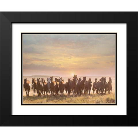 Horse Motion I Black Modern Wood Framed Art Print with Double Matting by PHBurchett