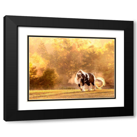 Horse Motion III Black Modern Wood Framed Art Print with Double Matting by PHBurchett