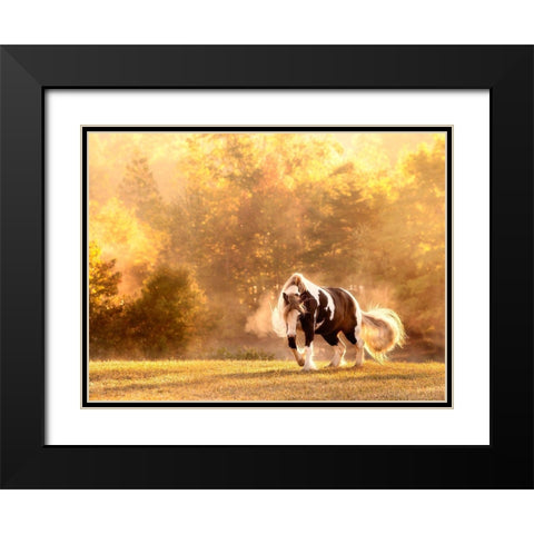 Horse Motion III Black Modern Wood Framed Art Print with Double Matting by PHBurchett