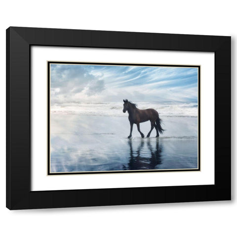 Horse Motion VI Black Modern Wood Framed Art Print with Double Matting by PHBurchett