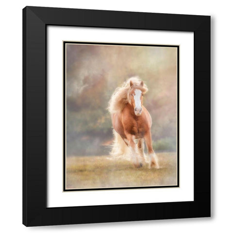 Horse Motion VII Black Modern Wood Framed Art Print with Double Matting by PHBurchett