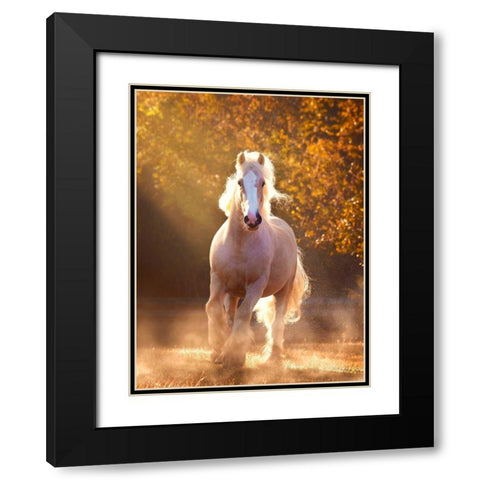 Horse Motion VIII Black Modern Wood Framed Art Print with Double Matting by PHBurchett