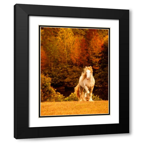 Horse Motion IX Black Modern Wood Framed Art Print with Double Matting by PHBurchett